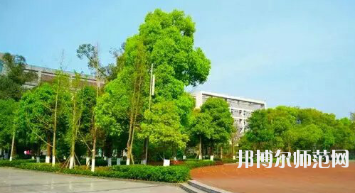 重慶市九龍坡幼師職業(yè)教育中心怎么樣、好不好。