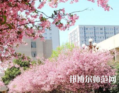 中國礦業(yè)師范大學(xué)徐海學(xué)院2023年報(bào)名條件、招生要求、招生對(duì)象