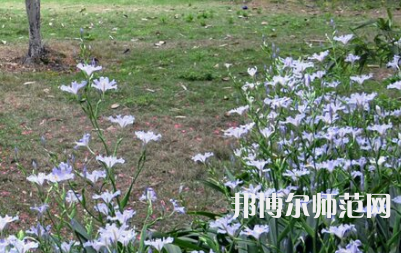 湖南第一師范學院城南書院校區(qū)2023年怎么樣、好不好