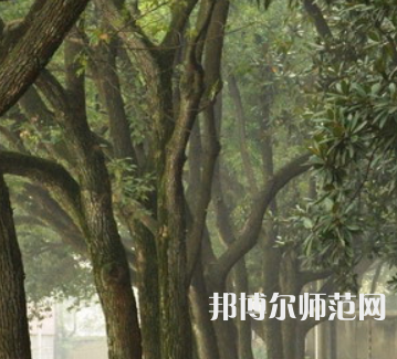 湖南師范大學(xué)樹(shù)達(dá)學(xué)院2023年招生簡(jiǎn)章