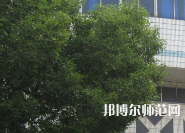 湖南師范大學(xué)樹(shù)達(dá)學(xué)院2023年有哪些專業(yè)