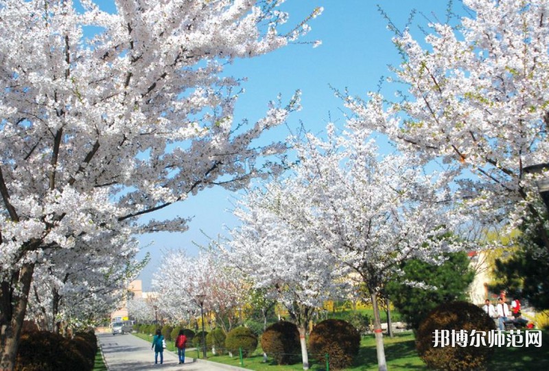 西安思源師范學院歷年招生錄取分數(shù)線